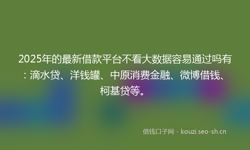 2025年的最新借款平台不看大数据容易通过吗有：滴水贷、洋钱罐、中原消费金融、微博借钱、柯基贷等。