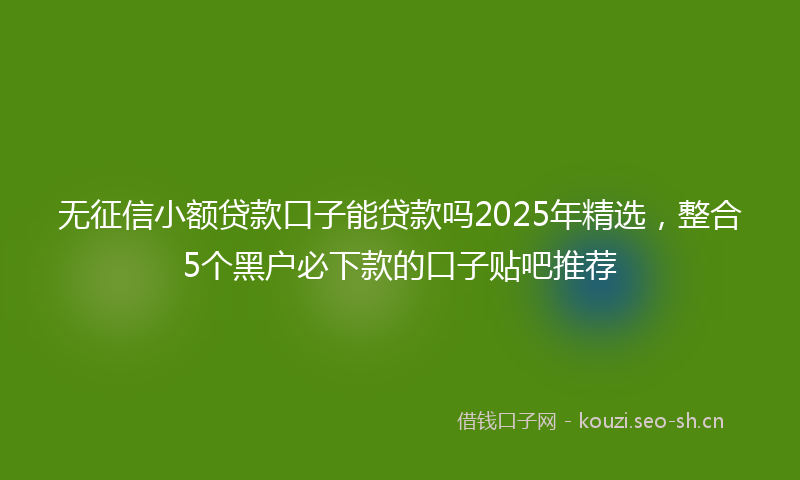 无征信小额贷款口子能贷款吗2025年精选,整合5个黑户必下款的口子贴吧推荐