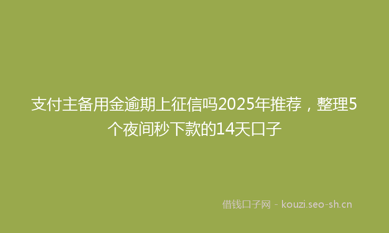 支付主备用金逾期上征信吗2025年推荐，整理5个夜间秒下款的14天口子