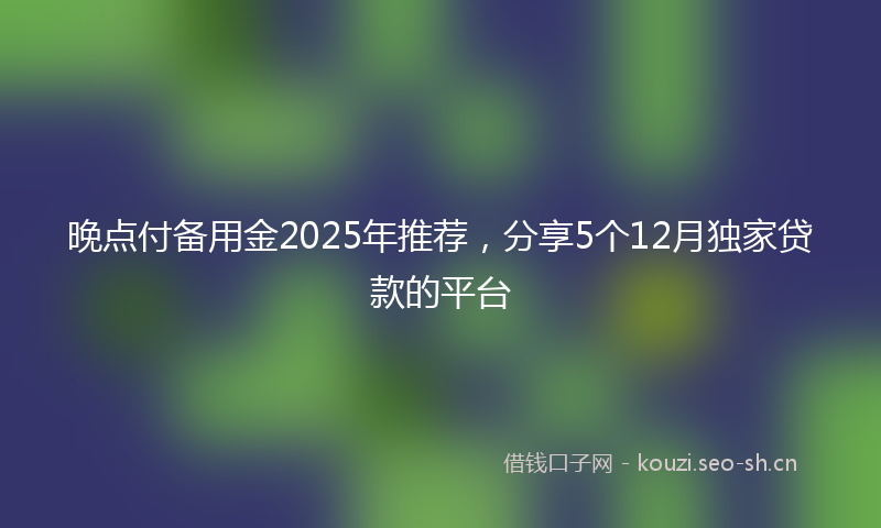 晚点付备用金2025年推荐，分享5个12月独家贷款的平台