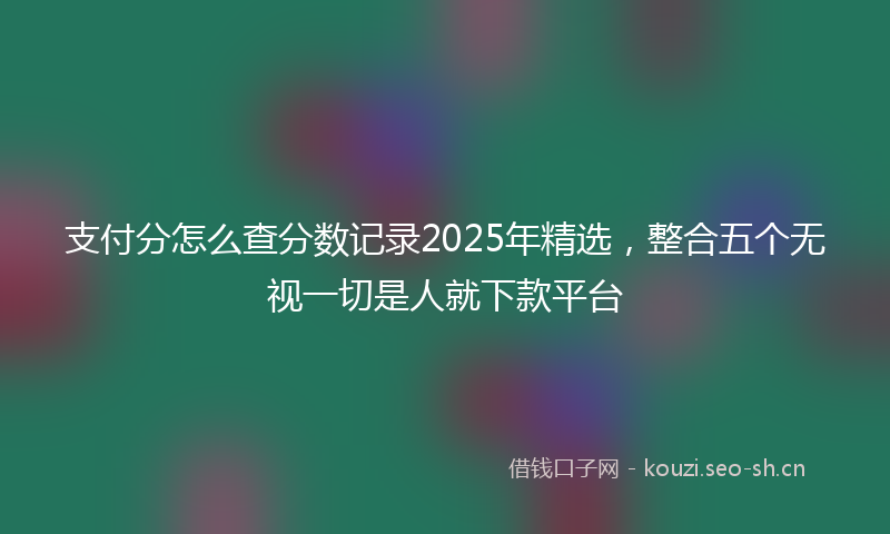 支付分怎么查分数记录2025年精选，整合五个无视一切是人就下款平台