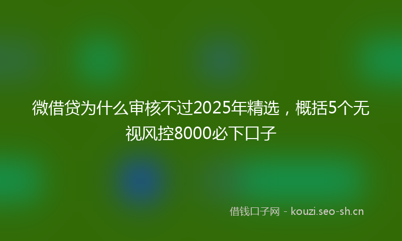 微借贷为什么审核不过2025年精选，概括5个无视风控8000必下口子