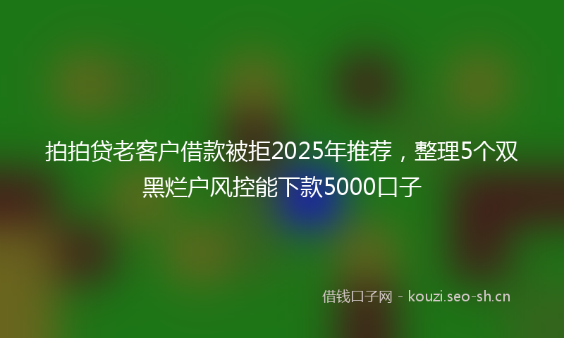 拍拍贷老客户借款被拒2025年推荐，整理5个双黑烂户风控能下款5000口子