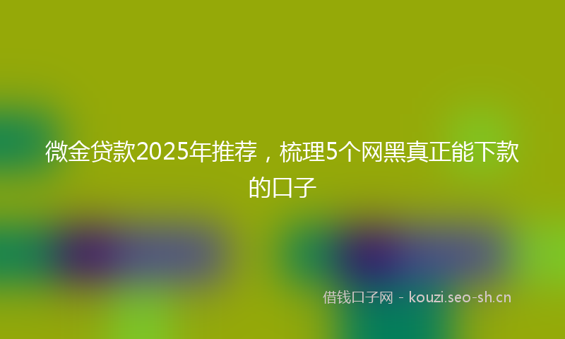 微金贷款2025年推荐,梳理5个网黑真正能下款的口子