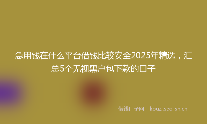 急用钱在什么平台借钱比较安全2025年精选，汇总5个无视黑户包下款的口子