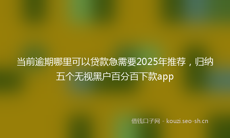 当前逾期哪里可以贷款急需要2025年推荐，归纳五个无视黑户百分百下款app