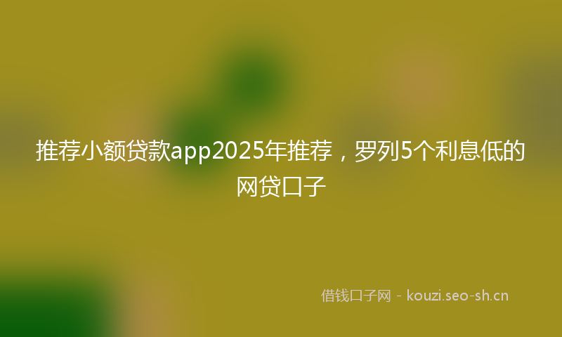 推荐小额贷款app2025年推荐，罗列5个利息低的网贷口子