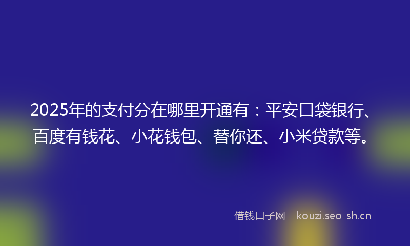2025年的支付分在哪里开通有：平安口袋银行、百度有钱花、小花钱包、替你还、小米贷款等。