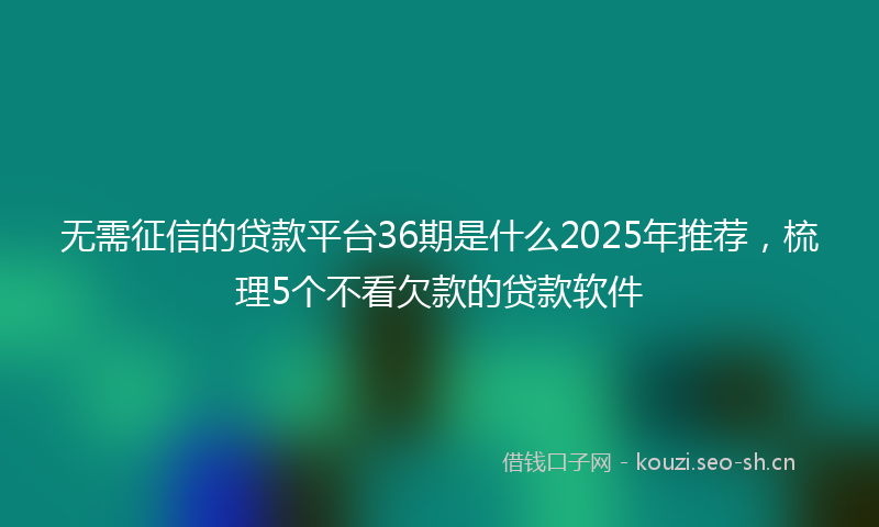 无需征信的贷款平台36期是什么2025年推荐，梳理5个不看欠款的贷款软件