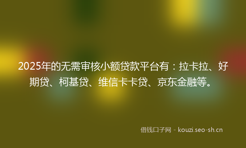 2025年的无需审核小额贷款平台有：拉卡拉、好期贷、柯基贷、维信卡卡贷、京东金融等。