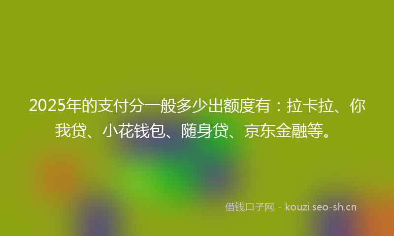 2025年的支付分一般多少出额度有：拉卡拉、你我贷、小花钱包、随身贷、京东金融等。