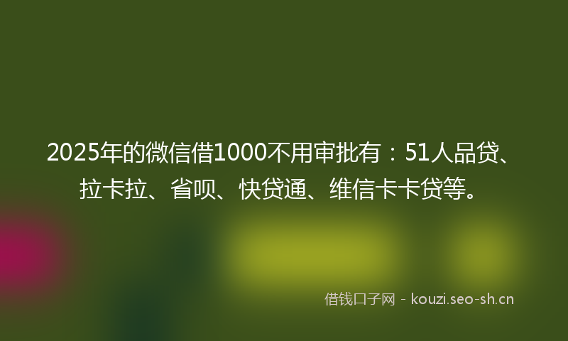 2025年的微信借1000不用审批有：51人品贷、拉卡拉、省呗、快贷通、维信卡卡贷等。