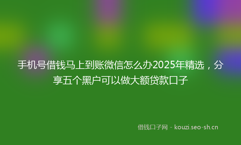 手机号借钱马上到账微信怎么办2025年精选，分享五个黑户可以做大额贷款口子