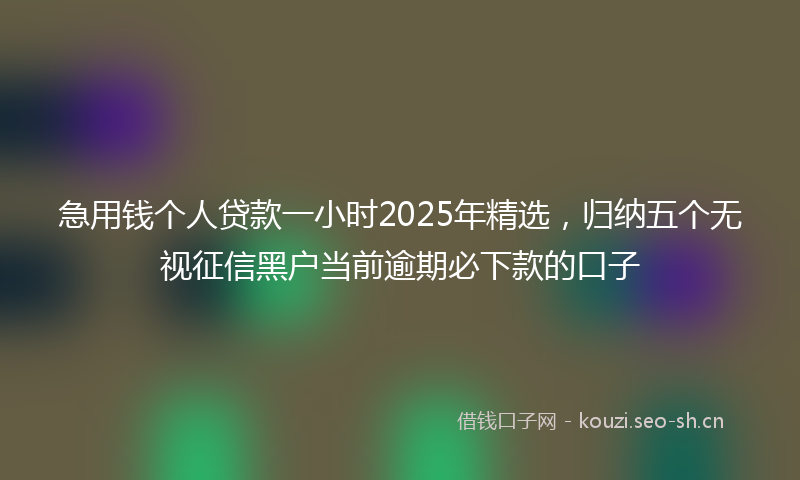 急用钱个人贷款一小时2025年精选，归纳五个无视征信黑户当前逾期必下款的口子