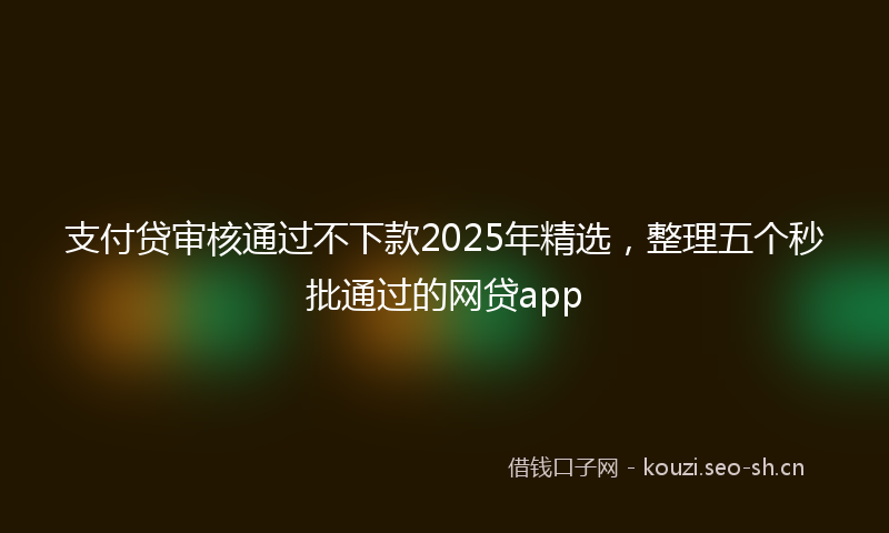支付贷审核通过不下款2025年精选，整理五个秒批通过的网贷app
