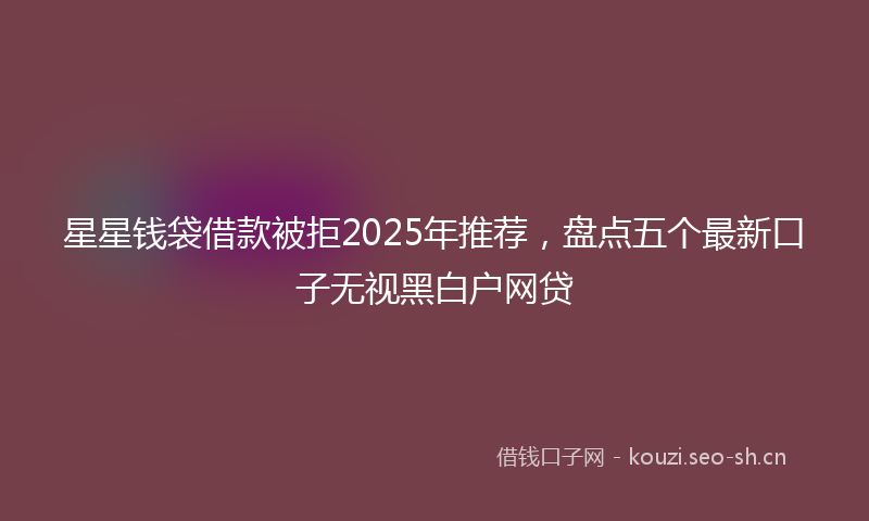 星星钱袋借款被拒2025年推荐，盘点五个最新口子无视黑白户网贷
