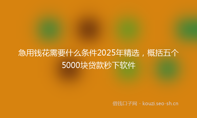 急用钱花需要什么条件2025年精选，概括五个5000块贷款秒下软件