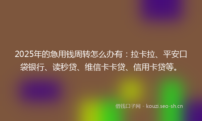 2025年的急用钱周转怎么办有：拉卡拉、平安口袋银行、读秒贷、维信卡卡贷、信用卡贷等。