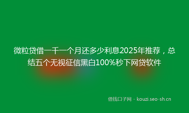 微粒贷借一千一个月还多少利息2025年推荐，总结五个无视征信黑白100%秒下网贷软件