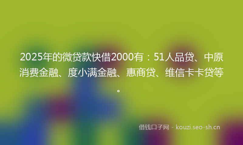 2025年的微贷款快借2000有：51人品贷、中原消费金融、度小满金融、惠商贷、维信卡卡贷等。