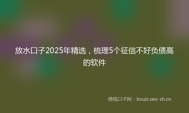 放水口子2025年精选，梳理5个征信不好负债高的软件