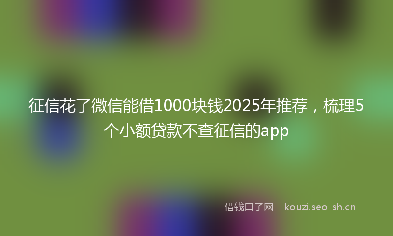 征信花了微信能借1000块钱2025年推荐，梳理5个小额贷款不查征信的app