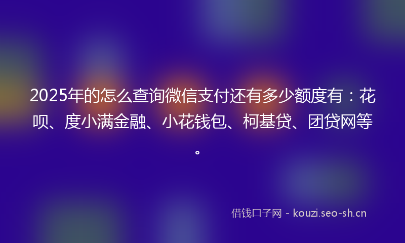 2025年的怎么查询微信支付还有多少额度有：花呗、度小满金融、小花钱包、柯基贷、团贷网等。