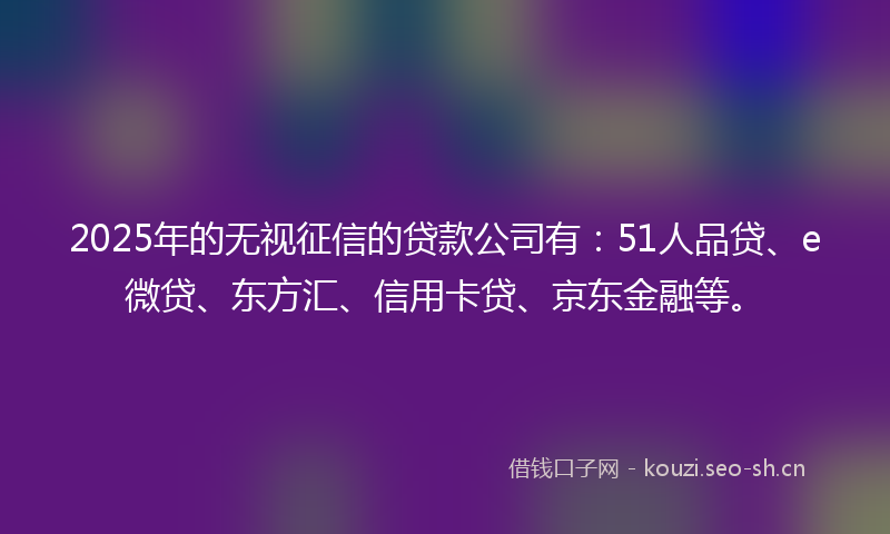 2025年的无视征信的贷款公司有：51人品贷、e微贷、东方汇、信用卡贷、京东金融等。