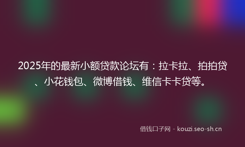 2025年的最新小额贷款论坛有：拉卡拉、拍拍贷、小花钱包、微博借钱、维信卡卡贷等。
