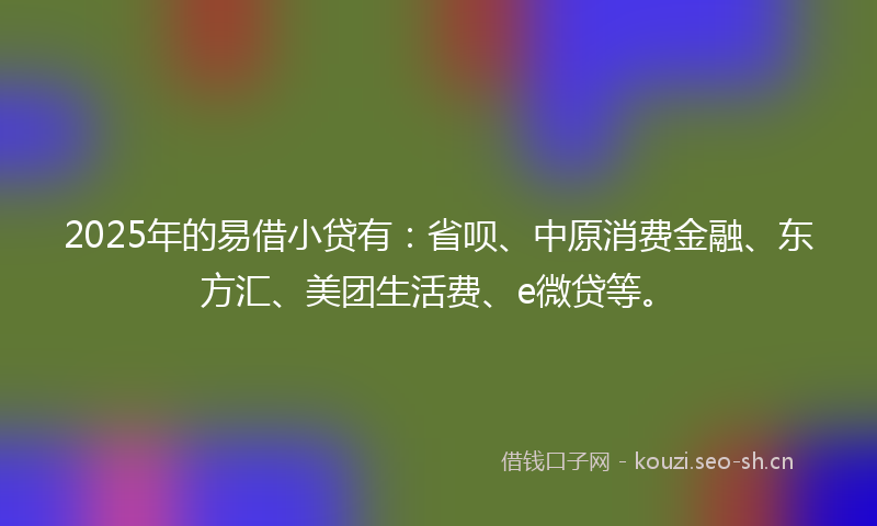 2025年的易借小贷有：省呗、中原消费金融、东方汇、美团生活费、e微贷等。