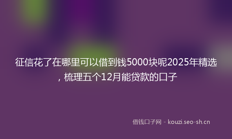 征信花了在哪里可以借到钱5000块呢2025年精选，梳理五个12月能贷款的口子