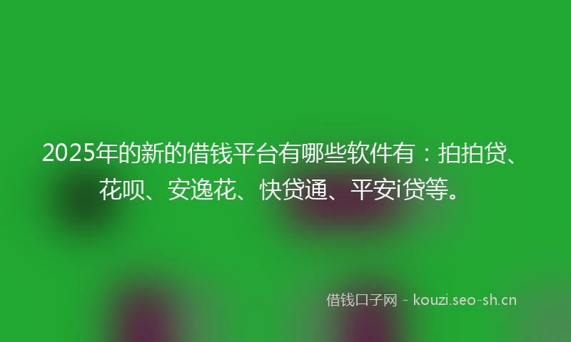 2025年的新的借钱平台有哪些软件有：拍拍贷、花呗、安逸花、快贷通、平安i贷等。