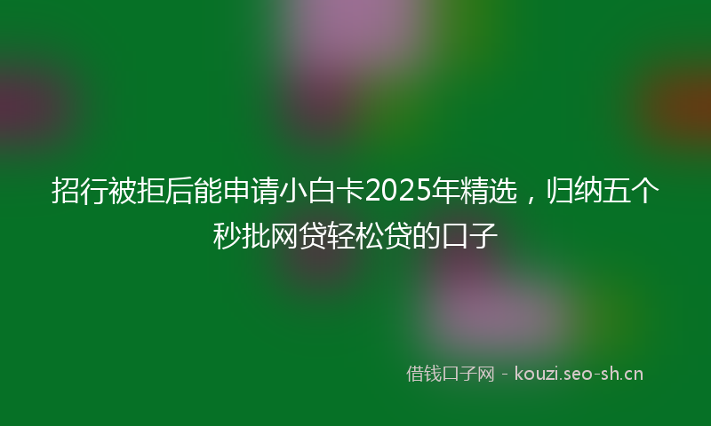 招行被拒后能申请小白卡2025年精选，归纳五个秒批网贷轻松贷的口子