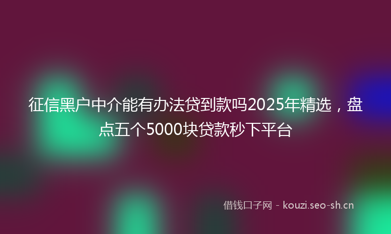 征信黑户中介能有办法贷到款吗2025年精选，盘点五个5000块贷款秒下平台