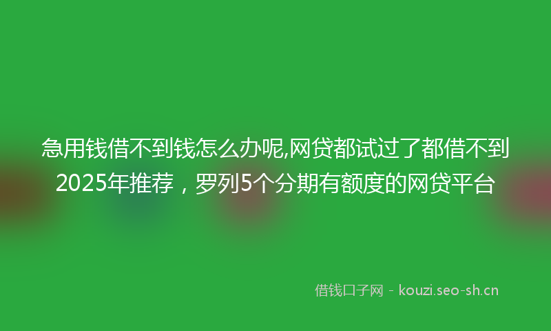 急用钱借不到钱怎么办呢,网贷都试过了都借不到2025年推荐，罗列5个分期有额度的网贷平台
