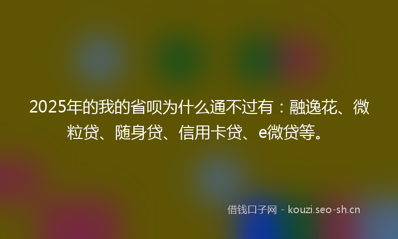 2025年的我的省呗为什么通不过有：融逸花、微粒贷、随身贷、信用卡贷、e微贷等。
