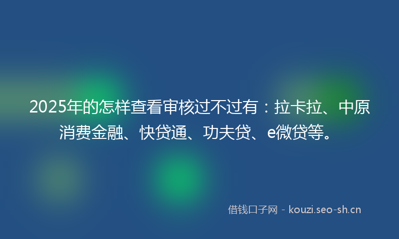 2025年的怎样查看审核过不过有：拉卡拉、中原消费金融、快贷通、功夫贷、e微贷等。