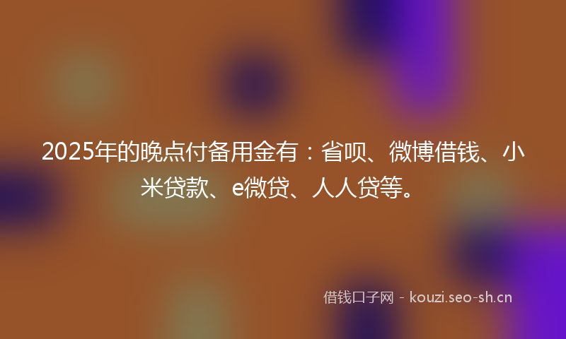 2025年的晚点付备用金有：省呗、微博借钱、小米贷款、e微贷、人人贷等。