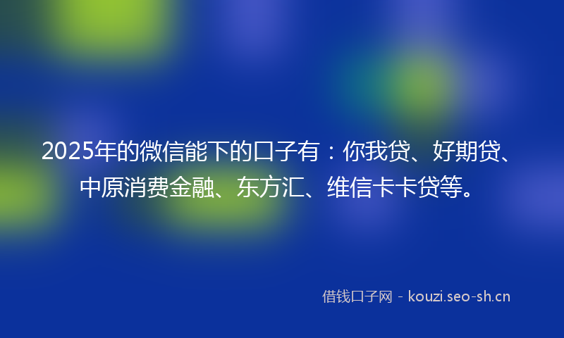 2025年的微信能下的口子有：你我贷、好期贷、中原消费金融、东方汇、维信卡卡贷等。