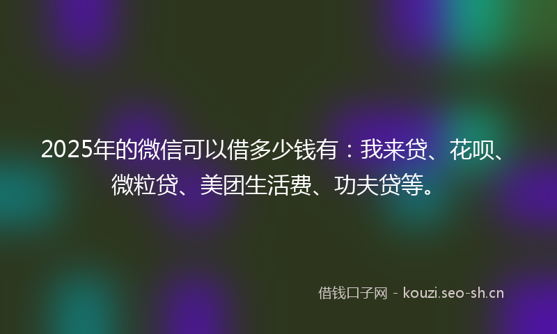 2025年的微信可以借多少钱有：我来贷、花呗、微粒贷、美团生活费、功夫贷等。