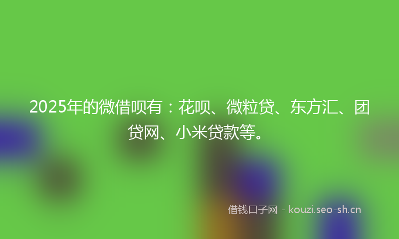 2025年的微借呗有：花呗、微粒贷、东方汇、团贷网、小米贷款等。
