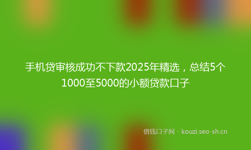 手机贷审核成功不下款2025年精选,总结5个1000至5000的小额贷款口子