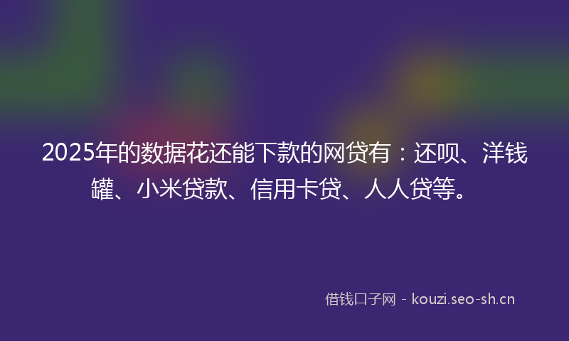 2025年的数据花还能下款的网贷有：还呗、洋钱罐、小米贷款、信用卡贷、人人贷等。