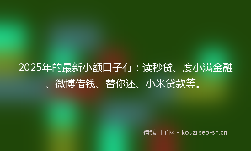 2025年的最新小额口子有：读秒贷、度小满金融、微博借钱、替你还、小米贷款等。