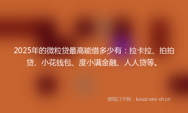 2025年的微粒贷最高能借多少有：拉卡拉、拍拍贷、小花钱包、度小满金融、人人贷等。
