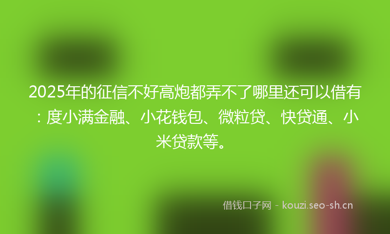 2025年的征信不好高炮都弄不了哪里还可以借有：度小满金融、小花钱包、微粒贷、快贷通、小米贷款等。