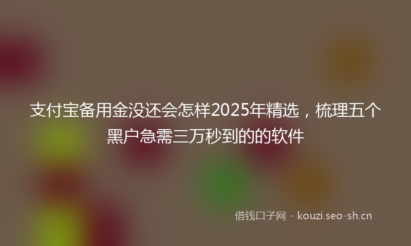 支付宝备用金没还会怎样2025年精选，梳理五个黑户急需三万秒到的的软件