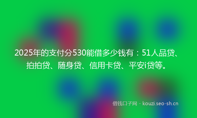 2025年的支付分530能借多少钱有:51人品贷、拍拍贷、随身贷、信用卡贷、平安i贷等。
