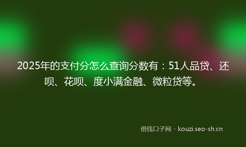 2025年的支付分怎么查询分数有:51人品贷、还呗、花呗、度小满金融、微粒贷等。