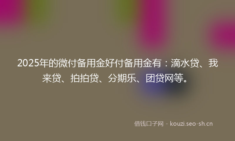 2025年的微付备用金好付备用金有：滴水贷、我来贷、拍拍贷、分期乐、团贷网等。